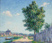 Le peuplier, effet de soleil a Villeneuve-sur-Yonne - Francis Picabia — vista dell’opera