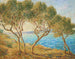 Gli ulivi, effetto di sole a Martigues - Francis Picabia — vista dell’opera