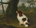 Un épagneul et un fusil à silex dans un paysage - Francis Sartorius — vista dell’opera
