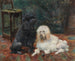 I cani nobile Jocko e Geraldine - François Richard de Montholon — vista dell’opera