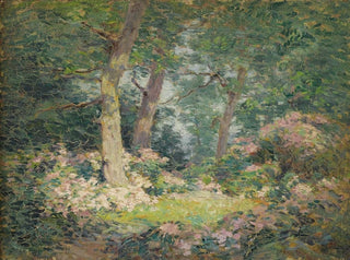 Laurier des montagnes - Frank Alfred Bicknell — vista dell’opera