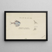 Argyropelecus hemigymnus pesce a forma di ascia comune della Nuova Zelanda - Frank Edward Clarke — quadro incorniciato alla parete