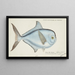 Brama brama NZ Ray's Bream - Frank Edward Clarke — quadro incorniciato alla parete