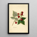 Rubus Rancocas - Frank Muller — quadro incorniciato alla parete