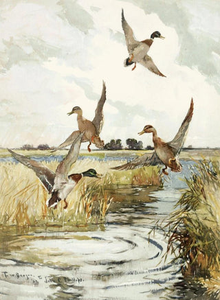 Frank Weston Benson - Rising Mallard.webp