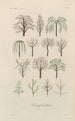 Traité de botanique générale Pl033 - François Hérincq — vista dell’opera