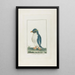 Le manchot aigrette - François Levaillant — quadro incorniciato alla parete
