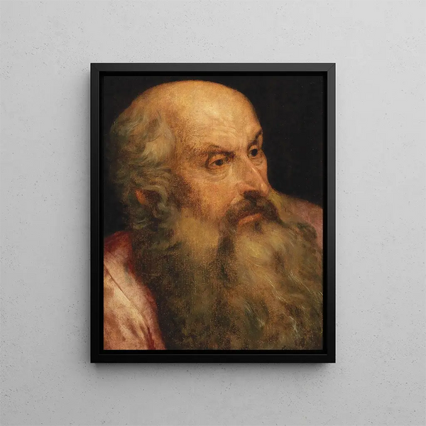 Studio di un uomo barbuto - Frans Floris — quadro incorniciato alla parete
