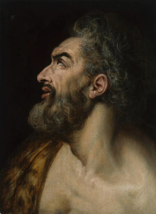 Frans Floris - Study Head of a Bearded Man.webp
