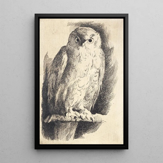 Frans Schwartz - Prveplade en ugle.webp