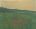 Papaveri rossi - František Kaván — vista dell’opera