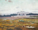 Umore dolce - František Kaván — vista dell’opera