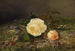 Roses Gialli - Frants Diderik Böe — vista dell’opera