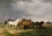 Cavalli nella Puszta - Franz Adam — vista dell’opera