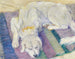Cane sdraiato, ritratto di cane - Franz Marc — vista dell’opera