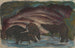 Cinghiali nell'acqua - Franz Marc — vista dell’opera