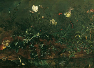 Franz Michael Siegmund von Purgau the elder - Rasenstck mit Distel Frschen und Libelle.webp