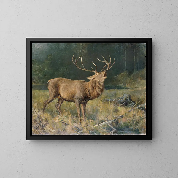 Cervo marrone - Franz Xaver von Pausinger — quadro incorniciato alla parete