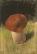 Le champignon - Franz von Stuck — vista dell’opera