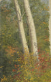 Bouleaux en automne - Frederic Edwin Church — vista dell’opera
