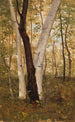 Dans les bois Hudson New York - Frederic Edwin Church — vista dell’opera