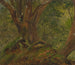 Nei boschi in Giamaica - Frederic Edwin Church — vista dell’opera