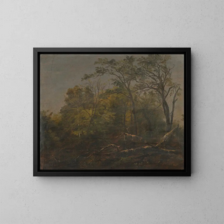 Frederic Edwin Church - Maine Woods.webp