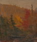 Probabilmente vicino a Katahdin in autunno - Frederic Edwin Church — vista dell’opera