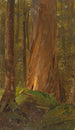 Studio nel bosco del Maine - Frederic Edwin Church — vista dell’opera
