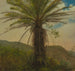 Fougère arborescente Jamaica - Frederic Edwin Church — vista dell’opera