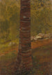 Tronc d'arbre - Frederic Edwin Church — vista dell’opera