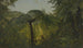 Paesaggio tropicale - Frederic Edwin Church — vista dell’opera
