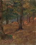 Scène boschiva - Frederic Edwin Church — vista dell’opera