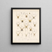 Arachnida Araneidea Pl 01 - Frederick DuCane Godman — quadro incorniciato alla parete