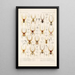 Arachnida Araneidea Pl 16 - Frederick DuCane Godman — quadro incorniciato alla parete