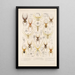 Arachnida Araneidea Pl 32 - Frederick DuCane Godman — quadro incorniciato alla parete