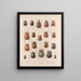 Insetti Coleotteri Pl 020 - Frederick Du Cane Godman — quadro incorniciato alla parete