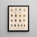Insetti Coleotteri Pl 021 - Frederick Du Cane Godman — quadro incorniciato alla parete