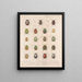 Insetti Coleotteri Pl 022 - Frederick Du Cane Godman — quadro incorniciato alla parete