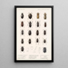 Insecta Coleoptera Pl 041 - Frederick DuCane Godman — quadro incorniciato alla parete