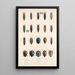 Insecta Coleoptera Pl 063 - Frederick DuCane Godman — quadro incorniciato alla parete