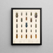 Insetti Coleotteri Pl 067 - Frederick Du Cane Godman — quadro incorniciato alla parete