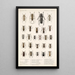 Insecta Coleoptera Pl 228 - Frederick DuCane Godman — quadro incorniciato alla parete