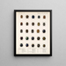 Insetti Coleotteri Pl 237 - Frederick Du Cane Godman — quadro incorniciato alla parete
