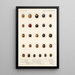 Insecta Coleoptera Pl 298 - Frederick DuCane Godman — quadro incorniciato alla parete