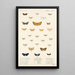 Insecta Lepidoptera Heterocera Pl 013 - Frederick DuCane Godman — quadro incorniciato alla parete