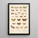 Insecta Lepidoptera Heterocera Pl 023 - Frederick DuCane Godman — quadro incorniciato alla parete
