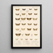 Insecta Lepidoptera Heterocera Pl 040 - Frederick DuCane Godman — quadro incorniciato alla parete