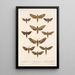 Insecta Lepidoptera Heterocera Pl 066 - Frederick DuCane Godman — quadro incorniciato alla parete