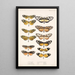 Insecta Lepidoptera Rhopalocera Pl 001 - Frederick DuCane Godman — quadro incorniciato alla parete